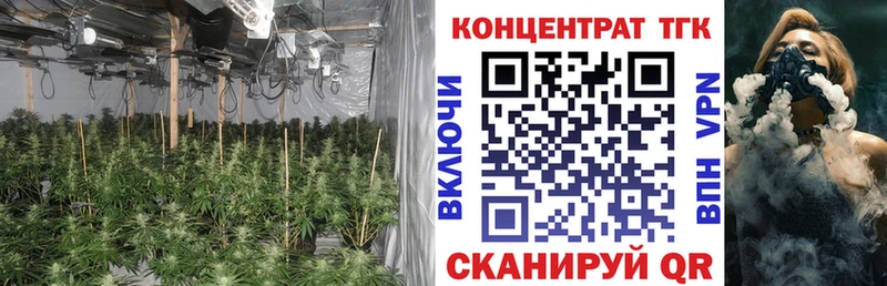 Купить где  Белгород  ТГК жижа 