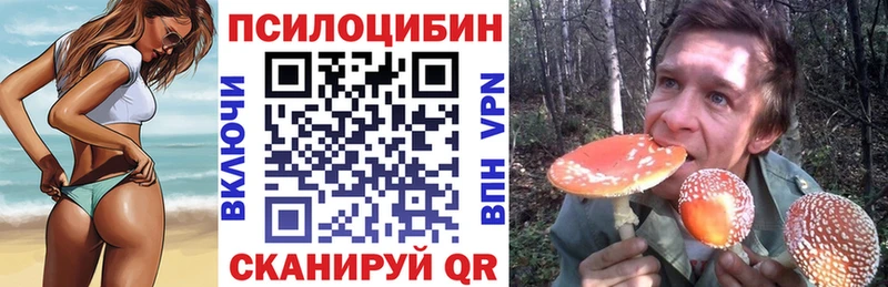 Купить закладки  Белгород  Галлюциногенные грибы Cubensis 